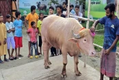 আমাদেরজাগরণ